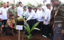 Percepat Hilirisasi Kelapa Nasional, Mentan Amran Launching Gerakan Menanam Lima Juta Kelapa di Selayar