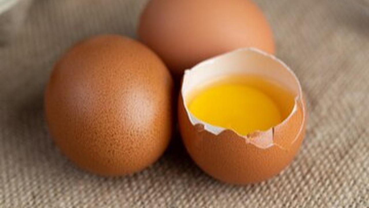 Beda Telur Omega dan Telur Biasa