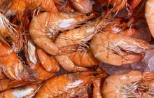 Apakah Udang Mengandung Kolesterol? Ketahui Fakta dan Mitosnya