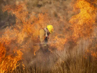 Petugas pemadam kebakaran memadamkan api di Capilla del Monte, Cordoba, Argentina (15/10/2020). Pada Rabu malam, hujan ringan memadamkan semua kebakaran di provinsi itu tetapi pada sore api kembali dengan suhu yang meningkat. (AP Photo/Mario Tizon)