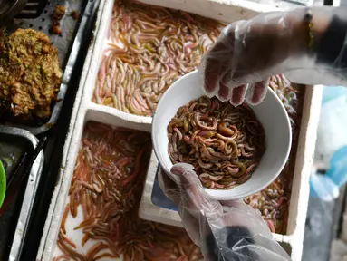 Pedagang membuat kuliner cha ruoi di sebuah warung di Hanoi, Vietnam, Jumat (14/12). Cha ruoi merupakan kue hangat berbentuk dadar yang terbuat dari campuran daging babi, telur, daun dill, kulit jeruk, dan segenggam cacing goreng. (Manan Vatsyayana/AFP)