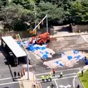 Ribuan Cumi Tumpah ke Jalan, AS Dilanda Squidpocalypse