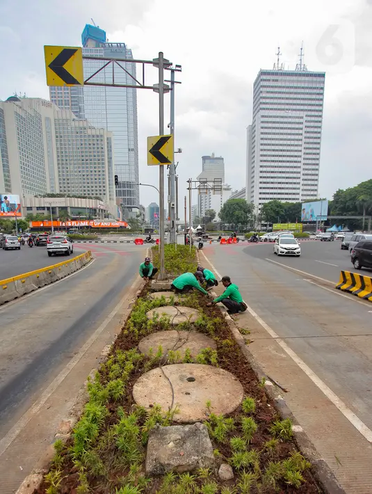 Tanaman bernama "Song of Indonesia" itu layu dan berwarna cokelat. (merdeka.com/Arie Basuki)