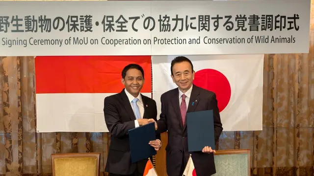 Diplomasi Komodo Indonesia dan Jepang, Kolaborasi Lewat Breeding Loan