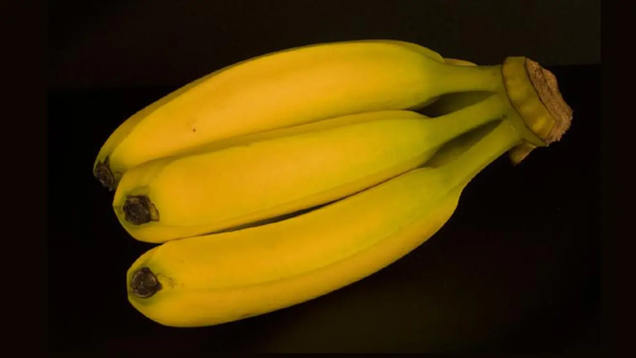 Manfaat Pisang untuk Ibu Hamil yang Harus Diketahui