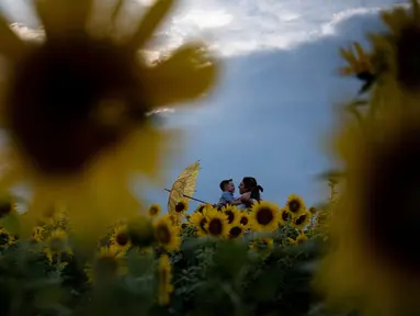 Orang-orang mengunjungi tanaman bunga matahari di ladang bunga Nokesville, Virginia pada Kamis (22/8/2019). (Photo by Brendan Smialowski / AFP)