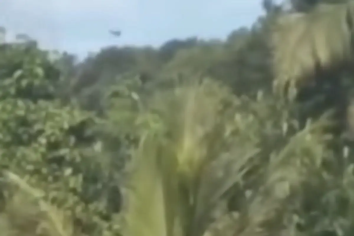 Video Diduga Helikopter PK-CFX Terbang Rendah Sebelum Alami Kecelakaan