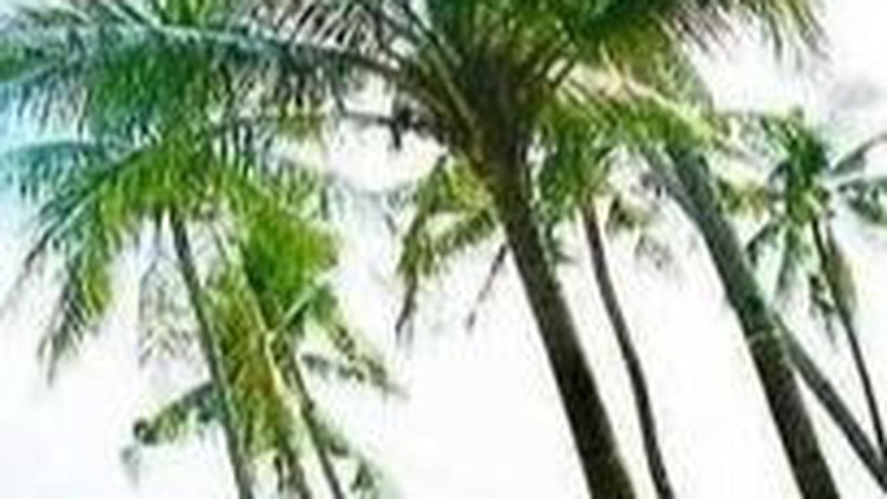 3. Pantai Kelapa<br>
