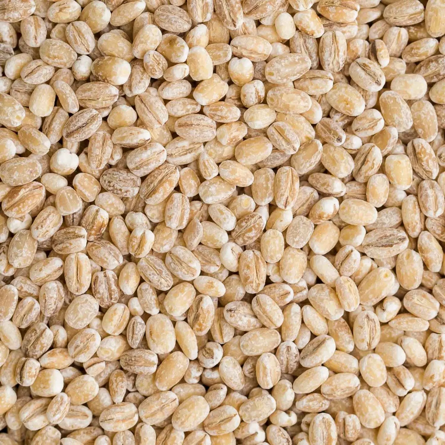 Barley | Sumber Foto: naturallyella.com