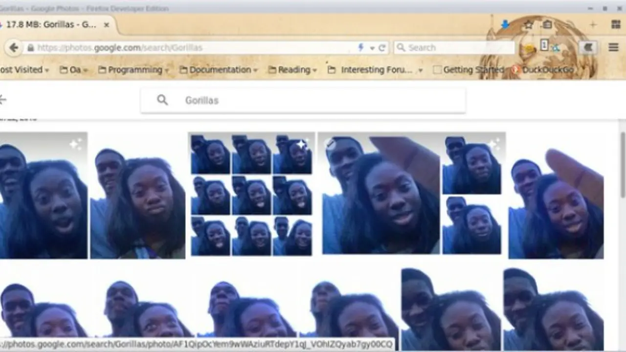 Aplikasi Google Kenali Orang Kulit Hitam sebagai Gorila