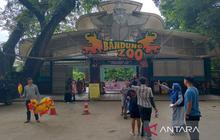 Terungkap! DPRD Jabar Akan Panggil Semua Pihak Terkait Polemik Bandung Zoo, Siapa Saja?