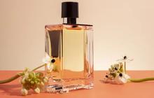 Panduan Praktis Membuat Parfum Alami Sendiri, Wangi Tahan Lama