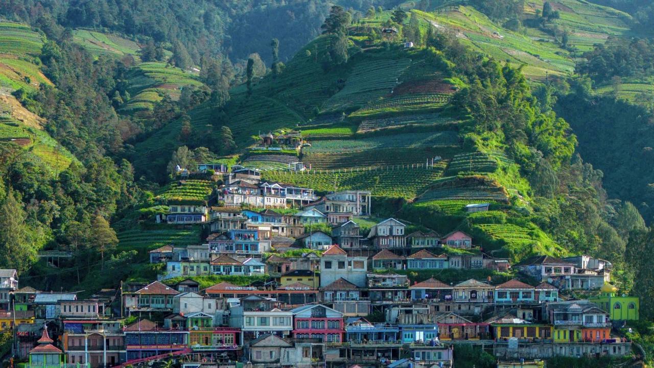FOTO: Pesona Negeri Warna Warni "Nepal Van Java" di Lereng Gunung  Sumbing