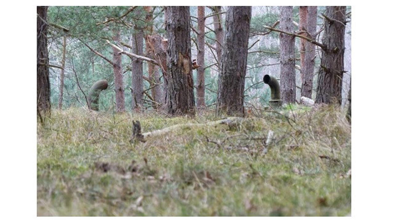 Dua Pria Temukan Pipa Misterius di Hutan, Saat Ditelusuri Ujungnya Mengejutkan
