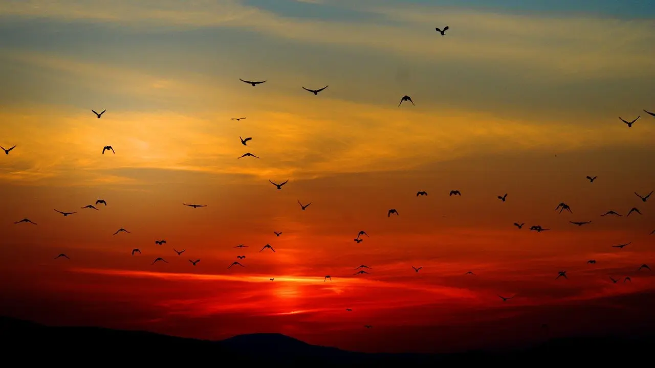 Ilustrasi Senja