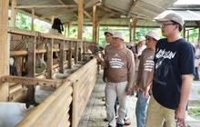 Bank Tanah Gelar Pelatihan Pertanian dan Peternakan di Cianjur, Perkuat Reforma Agraria