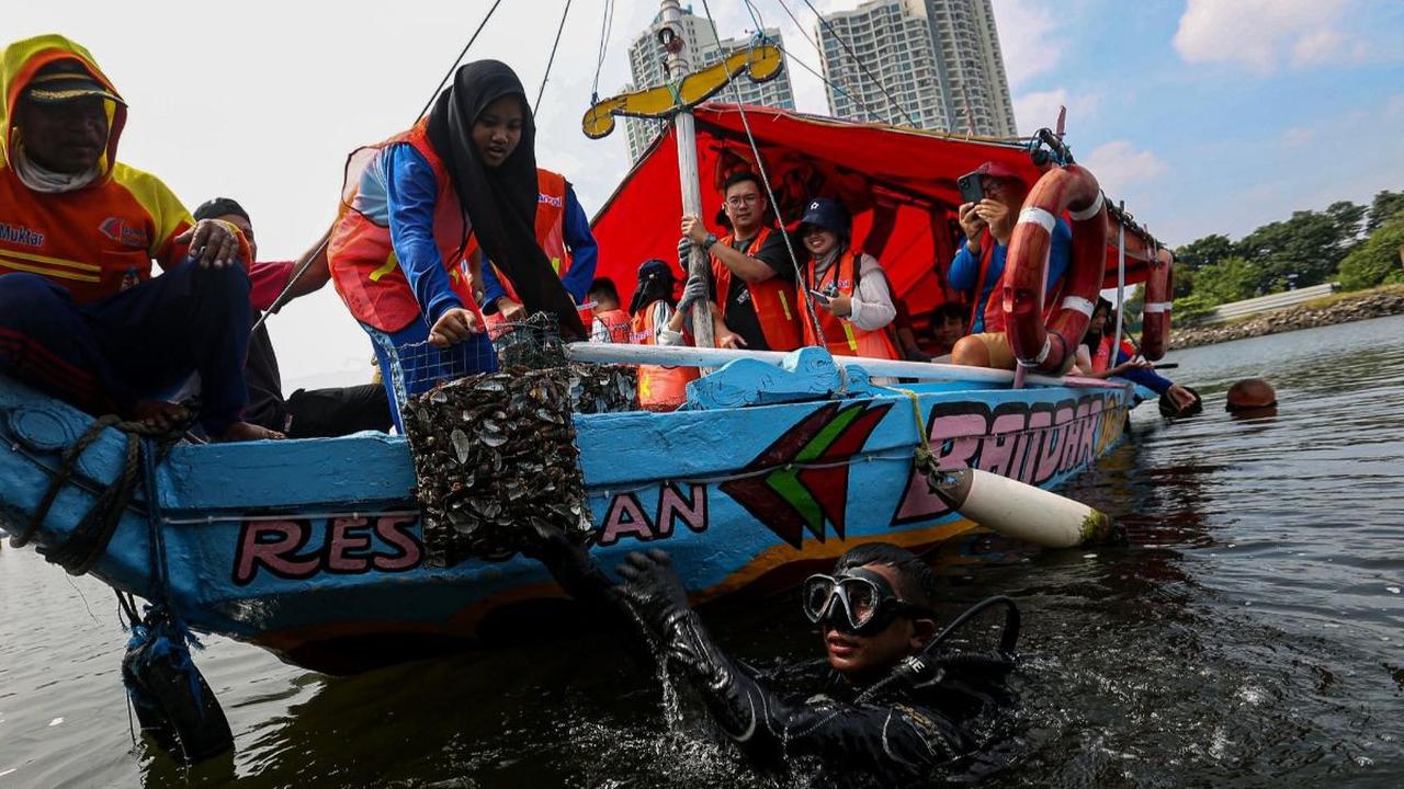 FOTO: Melihat Upaya Restorasi Perairan Teluk Jakarta dengan Filter Kerang Hijau untuk Perbaiki Lingkungan