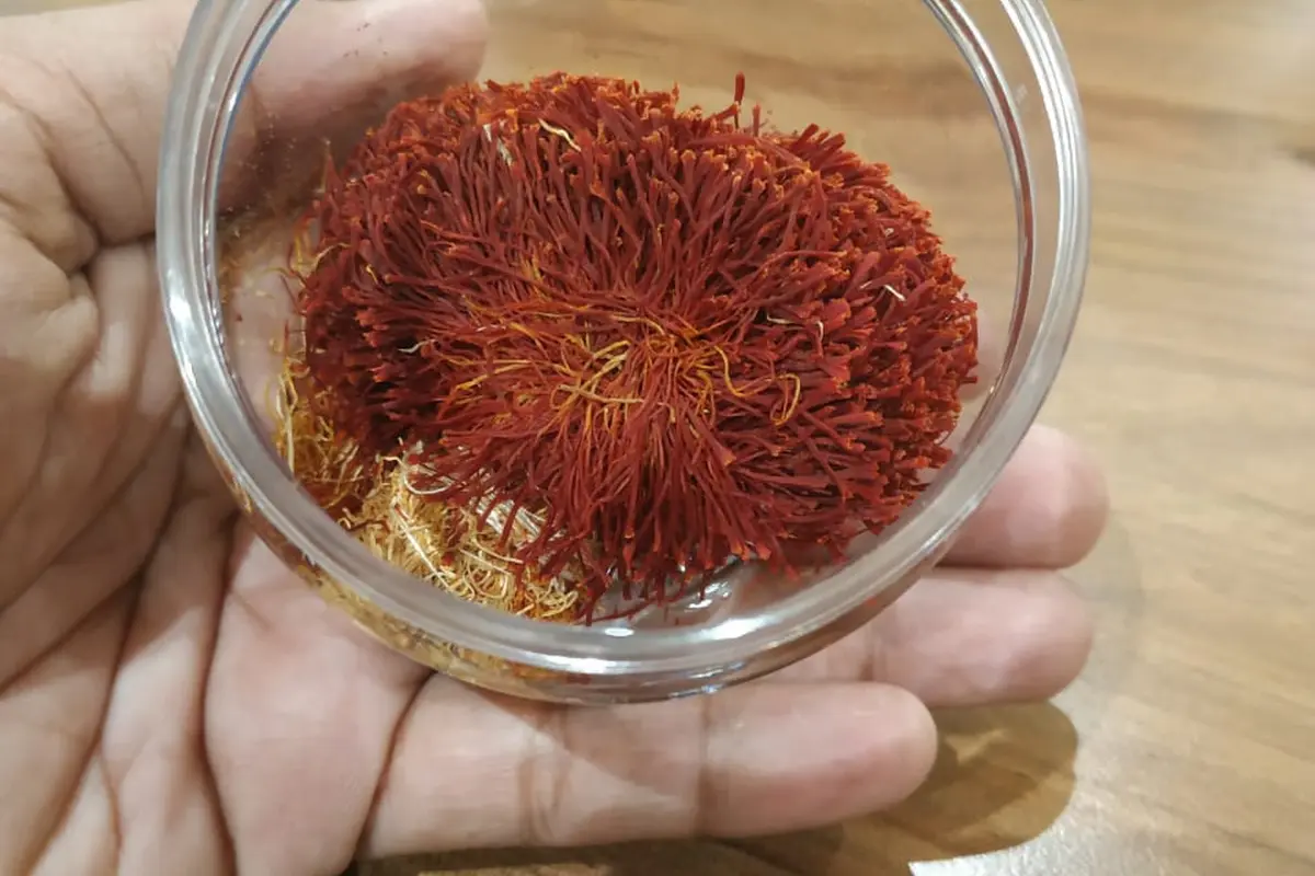 Rempah atau bumbu termahal di dunia, Safron. Nurmayanti/Liputan6.com