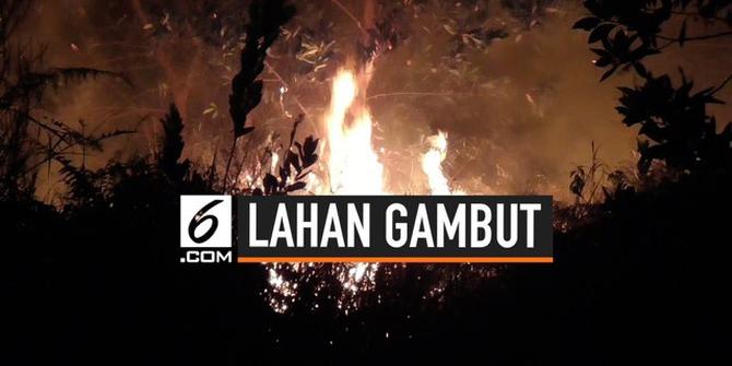 VIDEO: Puluhan Hektare Lahan Gambut di Palangka Raya Terbakar
