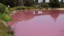 Seorang pengunjung memandangi danau yang berubah warna menjadi pink di Westgate Park, Melbourne, Australia, Senin (4/3). Warna tersebut merupakan campuran dari udara hangat, cahaya matahari, sedikit hujan dan tingginya kadar garam. (William WEST/AFP)