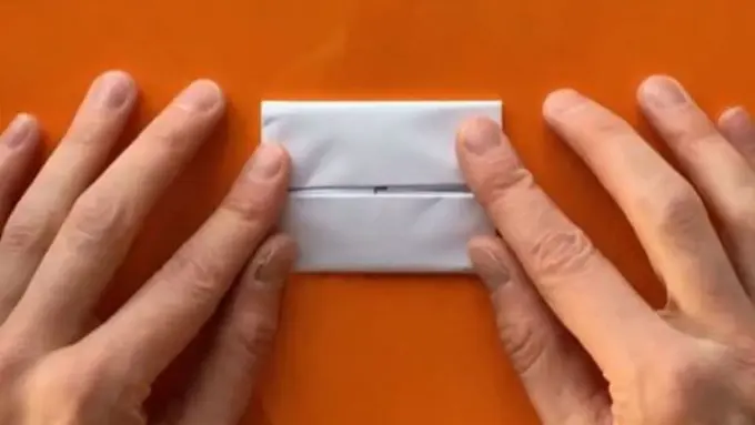 [Bintang] Menyimak Evolusi Hewan dalam Lipatan Kertas yang Bikin Kagum!