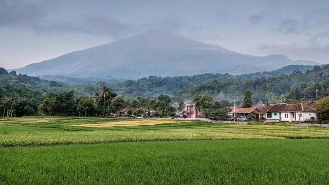 Menparekraf Gandeng Cinta Laura Promosikan Desa Wisata Cibuntu