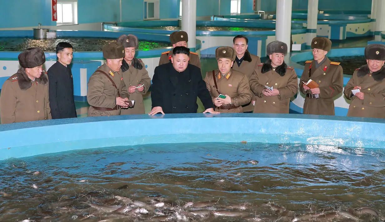 Pemimpin Korea Utara, Kim Jong Un bersama stafnya mengunjungi pembibitan ikan lele di Samchon Catfish Farm, Korea Utara, Selasa (21/2). (AFP Photo/KCNA)
