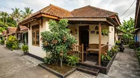 7 Cara Mengerdilkan Pohon Kelengkeng agar Tetap Berbuah Lebat