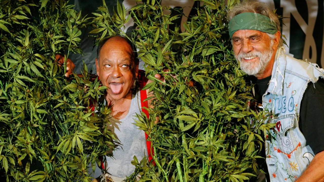 Artis-Artis Ini Kaya dari Bisnis Ganja