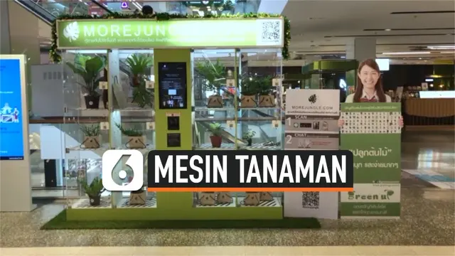 VIDEO: Mesin Penjual Tanaman dipasang di Pusat Perbelanjaan Bangkok