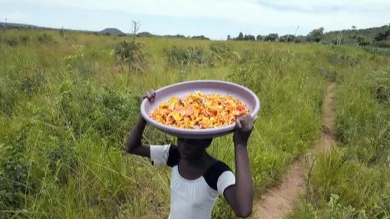 Melansir dari berbagai sumber, Masiyiwa memiliki harta kekayaan bersih sebesar USD 1,8 miliar atau Rp27 triliun (kurs Rp 15.326).