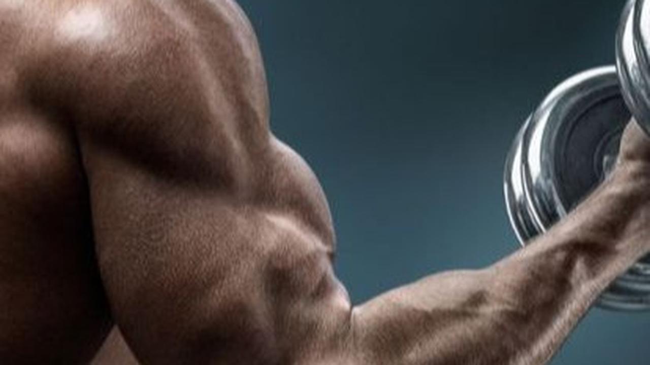 Bagaimana Cara Konsumsi Protein untuk Membangun Massa Otot?