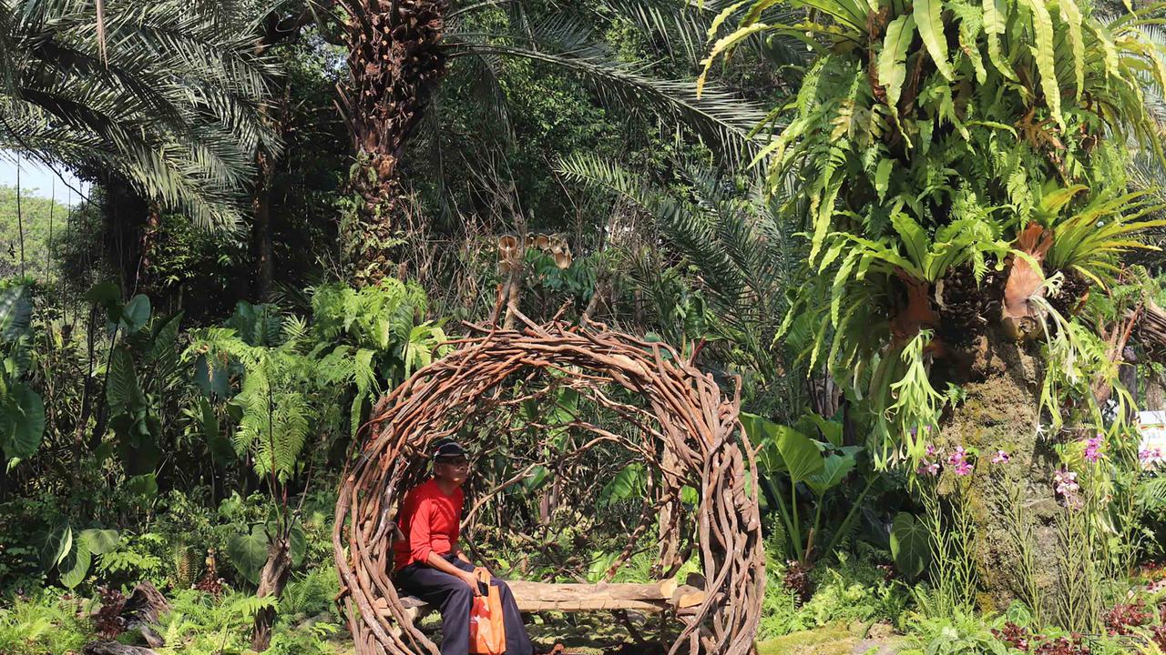 Menikmati Kekayaan Flora Nusantara di Tengah Jakarta