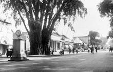 Cerita Thomas Raffles Jalan-Jalan di Malioboro, Dapat Sambutan Meriah  dari Sultan Jogja