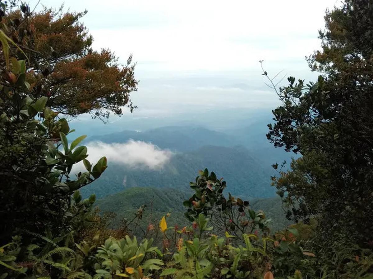 6 Fakta Menarik Gunung Korbu, Gunung Tertinggi ke-2 di Malaysia