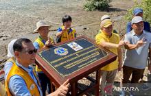 Perkumpulan Lions Indonesia Gelar Penanaman Mangrove Kubu Raya, Jaga Pesisir dari Abrasi