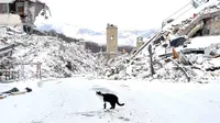 Cuaca dingin ekstrem di Italia (Associated Press)