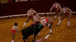 Anggota Coruche Forcados terlihat di seruduk banteng di Campo Pequeno, Lisbon, Portugal (2/6/2016). Forcados adalah olahraga tradisional, dimana peserta berusaha menaklukan banteng menggunakan tangan kosong. (REUTERS/Rafael Marchante)