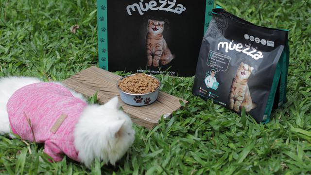 Makanan Kucing Halal, Muezza.