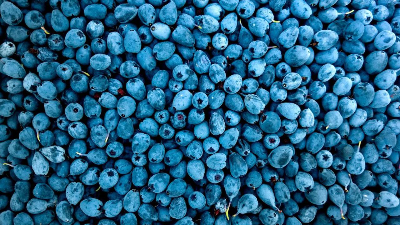 Blueberry