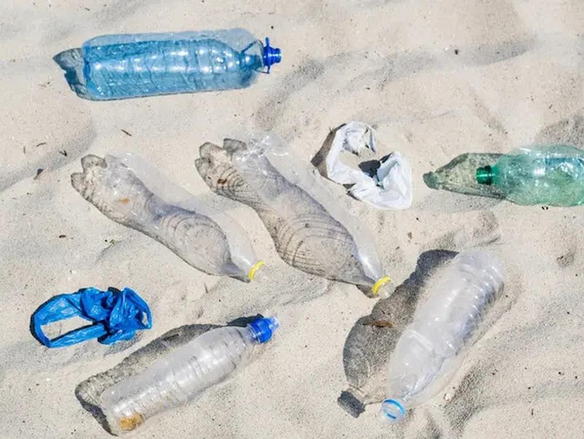 Jenis Makanan yang Tercemar Mikroplastik dan Bahaya untuk Dikonsumsi
