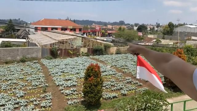 7 Potret Rumah Ade Rai di Bandung, Nyaman dan Kental Nuansa Bali