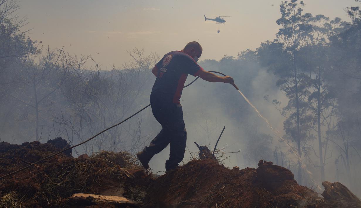 Seorang relawan memadamkan api di Taman Juquery di Franco da Rocha, wilayah Sao Paulo, Brasil, Senin (23/8/2021). Otoritas setempat masih menyelidiki asal dari balon udara panas kertas ilegal yang mendarat dan menyebabkan kebakaran tersebut. (AP/Andre Penner)