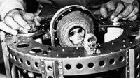 Monyet bernama Albert II menjadi primata pertama yang berhasil ke angkasa luar pada Selasa 14 Juni 1949 (NASA)