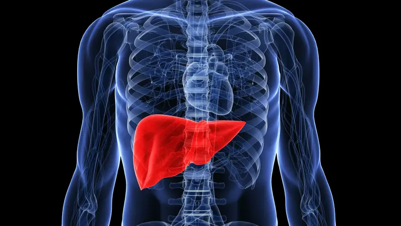 [Bintang] Liver