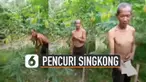 Bukan main hakim sendiri, pelaku justru diijinkan untuk mengambil singkong.