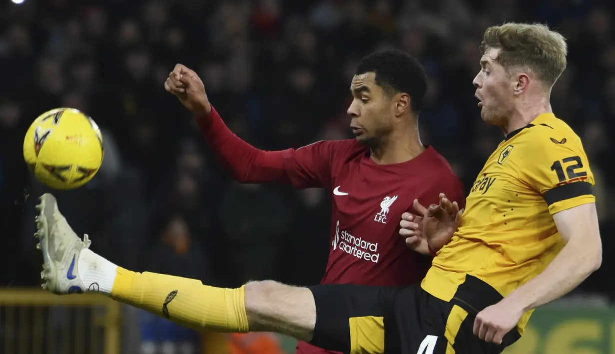 Penyerang Liverpool Cody Gakpo dan bek Wolverhampton Wanderers Nathan Collins bersaing dalam partai replay putaran ketiga Piala FA 2022/2023 di Molineux Stadium, Rabu dini hari WIB (18/1/2023). Di putaran keempat nanti, Liverpool sudah ditunggu oleh Brighton yang pada akhir pekan kemarin baru saja mengalahkan mereka tiga gol tanpa balas.  (AP Photo/Rui Vieira)