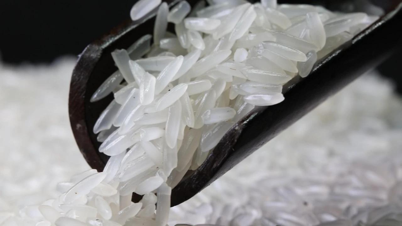Membersihkan Kutu Beras dengan Freezer: Cara Praktis Tanpa Bahan Kimia