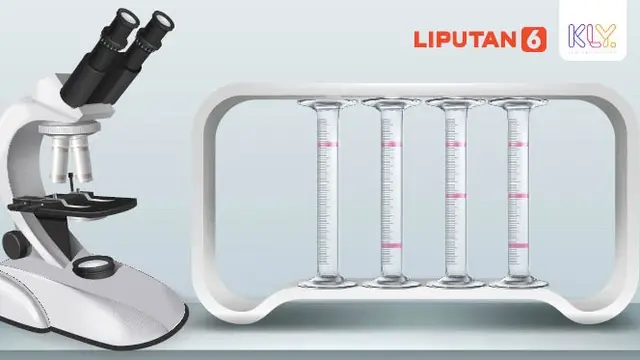 Banner Infografis Yuk, Pahami Makna Rapid Test Covid-19. (Liputan6.com/Abdillah)