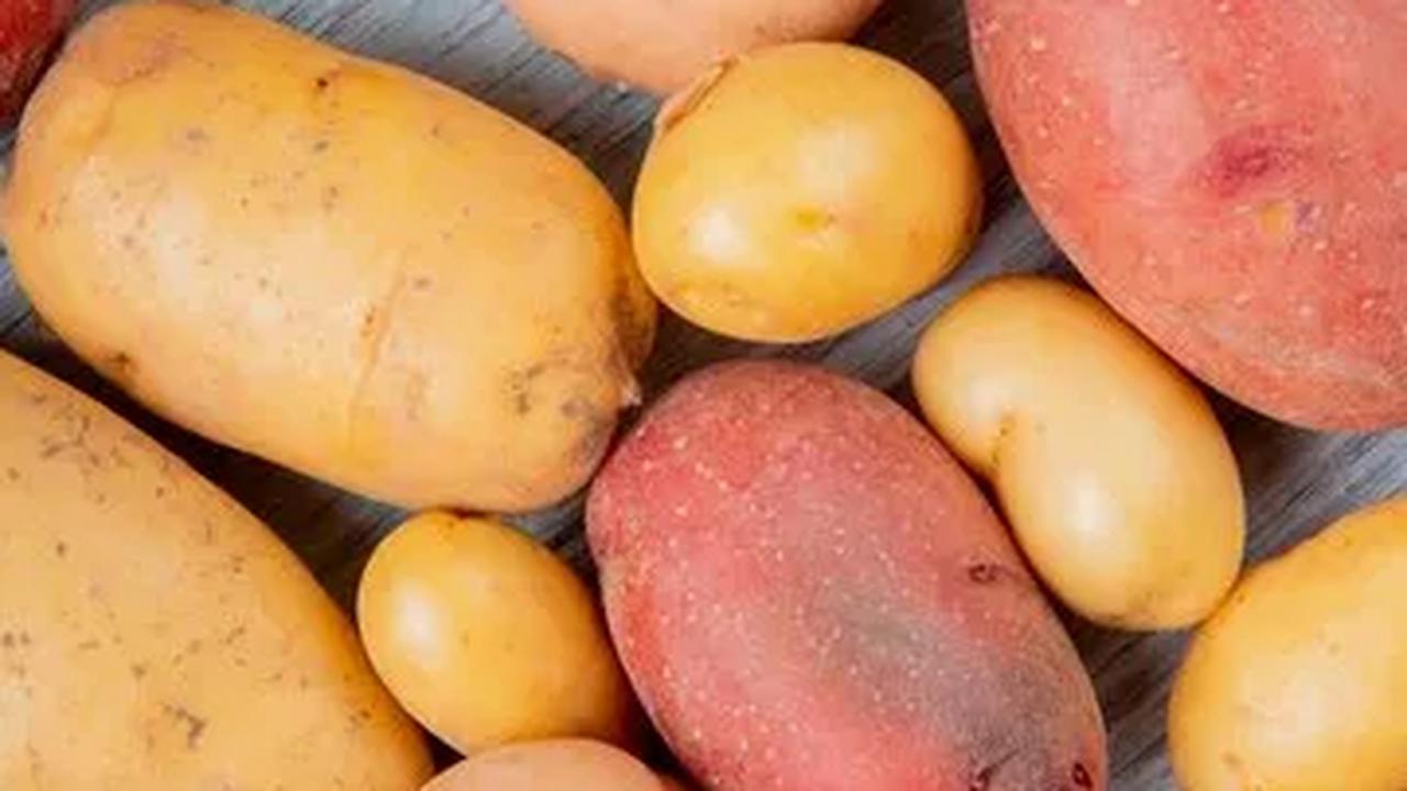 Bagaimana pengolahan keduanya dapat memengaruhi kandungan nutrisinya? Temukan jawabannya di sini!